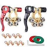 SUNMORN Battery Terminal Connectors, Multiple Battery Terminals, Quick Disconnect Quick Release Heavy Duty Car Marine Top Post Clamps, with Allen Wrench, Washers, 8 Pcs Ring Terminals (Gold)