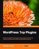 WordPress Top Plugins