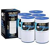 POOLPURE C-6430 Spa Filter Replaces Watkins 31489, Pleatco PWK30, Filbur FC-3915, P/N0969601, 71825, 73178, 73250, 30 sq. ft. Hot Spring Spa Filter 5 Pack