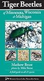 Tiger Beetles of Minnesota, Wisconsin & Michigan (Naturalist Series)