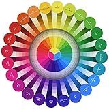 C&T PUBLISHING mens male Notions Essential Color Wheel Companion, Multicolor/Assorted
