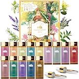 Fragrance Essential Oils Set - 14pcs, Aromatherapy Oils for Skin, Diffusers, Home Care, Humidifier Laundry, Candle Making - Tea Tree, Sandalwood, Lavender, Vanilla, Eucalyptus and More (5mL)
