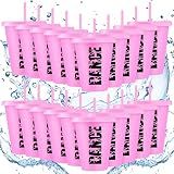 Domensi 20 Pcs Pink Plastic Dance Cups Bulk Dancer Graduation Gifts 16 oz Ballet Dancer Cups Bulk for Team Ballet Dance Party Supply Summer Reusable Cup with Lid and Straw Hot Pink Team Party Favor