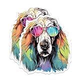 (2 Pack) Afghan Hound Dog Magnets - Afghan Hound with Sunglasses - Choose FromOver 100 Dog Breeds - 5" On Longest Side - Premium Magnet - Made in USA - MAG0297
