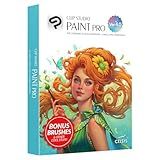 CLIP STUDIO PAINT PRO - Version 4 | Perpetual License | for Windows and macOS