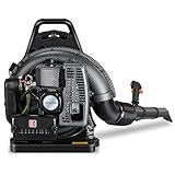 72CC Gas Backpack Leaf Blower - 2-Stroke Handheld-Class V Engine, 230 MPH 760 CFM, Adjustable Speed, Low Noise & Ergonomic Design, Cruise Control for Fast Yard Cleanup (Black)