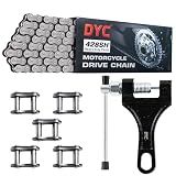 DYC 428H Motorcycle Chain 122 Links with Chain Breaker, 428 Heavy Duty Chain for 125 150 200cc Motorcycle Mini Bike Dirt Bike Go Kart Compatible with SSR TaoTao Coolster Apollo Baja Kazuma Chinese ATV