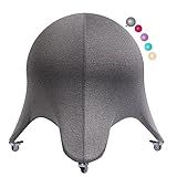 ENOVI Starfish Yoga Ball Chair, Exercise Ball Ergonomic Design for Office and Home, Relieve Back Pain, 20IN, FG