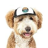 Sunset Collection, PupLid Trucker Hats for Dogs (Small) Premium Stylish Sun Protection for The Modern Dog - Adjustable for Secure Comfortable Fit on Active Dogs (Black, All-Terrain)
