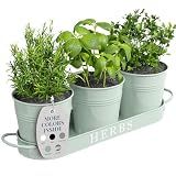 Barnyard Designs Indoor Herb Garden Planter Set with Tray, Metal Windowsill Plant Pots with Drainage for Outdoor or Indoor Plants, Set/3 (Soft Mint)