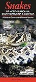 Snakes of North Carolina, South Carolina & Georgia: A Guide to Common & Notable Species (Quick Reference Guides)