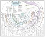 Amazing Bible Timeline with World History (Standard 37" x 45")