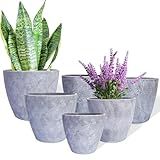 Plant Pots Indoor 7.5/6.5/6/5/4/3.5 Inch Set of 6 Plastic Planters for Indoor Plants with Drainage Hole and Drain Plug, Plastic Flower Pots, Nursery Planting Pot for Outdoor Plants (Gray)