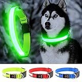 YFbrite Ultra Light Adjustable LED Dog Collar, Light up Dog Collars Rechargeable Glowing in The Dark Collars Visiblity & Safety for Small, Medium, Large Dogs (Green, Small)