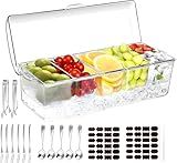 BLIVORRA Large Ice Chilled Condiment Server Caddy with 5 Removable Compartments (2.5 Cup), Clear Garnish Tray with Lids – Fruit, Salad, Taco, Bar Platter – Including Free Stainless Steel Accesories