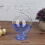 Storm Glass Forecaster Predicting Weather Forecasting Home Ornament, Creative Globe-Shaped Storm Glass Bottle Desktop Weather Station Weather Predictor Stunning Decoration, Blue