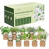 Environet 10 Indoor Herb Garden Kit- Burlap Pots, Organic Seeds, Herb Garden Planter Indoor Kit, Easy Window & Kitchen Herbs Growing Kit, Cilantro, Basil, Sage, Oregano, Parsley, Dill, Chives etc.