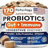 Probiotics for Dogs - 170 Dog Probiotics Chews - Digestive Enzymes & Prebiotics - Support Gut Health, Diarrhea, Gas & Constipation Relief - Itchy Skin, Allergies, Yeast Balance - Advanced Supplement