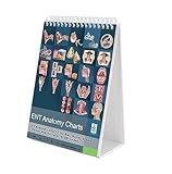 Blue Tree Publishing Ear Nose Throat anatomy Flip Charts, Otolaryngologist Anatomy, Ear, Nose, Larynx, Rhinologist, Otologist， with qr codes links to animation of ENT function.