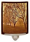 The Porcelain Garden Misty Meadows Porcelain Lithophane Nightlight Decorative wall Plug in Nursery, Bedroom, Kitchen, Bath, Hallway Nature Themed Accent Light