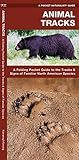 Animal Tracks (Nature Observation North America)