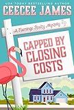 Capped by Closing Costs (A Flamingo Realty Mystery Book 14)