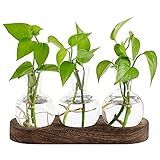 Mkono Desktop Plant Propagation Station Glass Planter Terrarium with Wooden Tray Bulb Flower Vase Perfect for Propagating Hydroponic Plants Home Office Decor Plant Lover Gift Idea