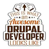 Drupal Developer Vinyl Sticker 4.5in, This is an Awesome Drupal Developer Look Like Stickers Gift for Coworker - Decal for Laptop, Phone Case, Tumbler, Mug, Bumpers, Toolboxes