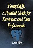 PostgreSQL: A Practical Guide for Developers and Data Professionals