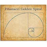 Fibonacci Spiral - Golden Ratio 11x14 Unframed Print, Math Poster, Sacred Geometry, Golden Spiral, Universal Patterns, Balance & Proportion, Classroom, Office, Libraries, Math Enthusiasts