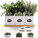 Herb Planter Indoor - 3 Iron Herb Pots with Drainage Holes, Varnished Bamboo Tray, Customizable Labels & Marker Pen - Indoor Herb Garden Planter - 3 Pots for Herbs - Inside Spice Garden - Basil Pot