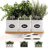 Herb Planter Indoor, 3-pc Herb Pots w/ Drainage Holes, Bamboo Tray & Labels