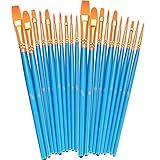 BOSOBO Paint Brushes Set, 2 Pack 20 Pcs Round-Pointed Tip Nylon Hair Artist Acrylic Paint Brushes for Acrylic Painting Oil Watercolor, Face Nail Art, Canvas, Miniature Detailing & Rock Painting, Blue