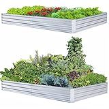 FOYUEE Galvanized Raised Garden Beds for Vegetables Large Metal Planter Box Steel Kit Flower Herb (8 x 4 x 1 ft * 2 Pack, Galvanized)