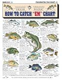 Freshwater Fish Identification Chart #3 - Waterproof Quick Reference Fishing Guide - Species ID + Fishing Methods - Double-Sided & Easy to Read - Great Gift for Beginners