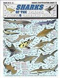 Sharks Identification #2 (Atlantic, Pacific, and Caribbean Oceans) - Waterproof Quick Reference Guide | Portable & Built to Last | Double-Sided & Easy to Read | (Size, Weight, Depth, Location)