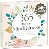2026 Mindfulness Daily Desktop Calendar | Day To Day Tear Off Calendar with 365 Positive Affirmation Exercises for a Year of Calm Self Care, Box Calendar Gift For Women, Christmas Stocking Stuffer Gift for Home or Office