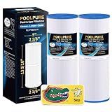 POOLPURE PRB25-IN Hot Tub Filter Replace Unicel C-4326, 3005845, 2Pack