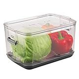 ProKeeper Produce Storage Container with Stay-Fresh Vent System – 5.7 Quarts, Airtight for Fruits & Vegetables