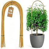 Coloch 20 Pack Bamboo U Trellis Support, 16 Inch U Loop Plant Stake Arch Garden Trellis for Potted Plants, Climbing Flowers and Vines, Ivy, Outdoor Planting
