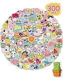 Stickers for Water Bottles, 300 Pcs/Pack Cute Vinyl Waterproof Laptop Sticker for School Students Gifts Supplies Classroom Teachers Prizes Stocking Stuffers Stickers for Kids Girls Teens