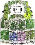 Seed Needs Herb Seeds Variety Pack Culinary Herb Collection (12 Individual Packets for Planting Indoors or Outdoors) Grow Your Own Herb Garden - Heirloom, Non-GMO