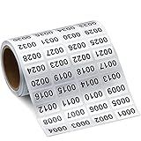0001 to 2000 Inventory Number Sticker Labels Waterproof Self Adhesive Labels Consecutive Number Stickers for Storage Organizing Boxes Classification 0.39 x 0.78 Inch