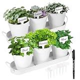 Wacloud Herb Garden Planter Indoor Kit – 6 Metal Pots with 2 Trays for Windowsill & Kitchen Counter – Modern Decorative Indoor Planters for Herbs, Succulents & Small Plants, White