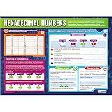 Daydream Education Hexadecimal Numbers | Computer Science Posters | Gloss Paper measuring 33” x 23.5” | STEM Posters for the Classroom | Education Charts