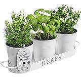 Barnyard Designs Indoor Herb Garden Planter Set with Tray, Metal Windowsill Plant Pots with Drainage for Outdoor or Indoor Plants, Set/3 (White)
