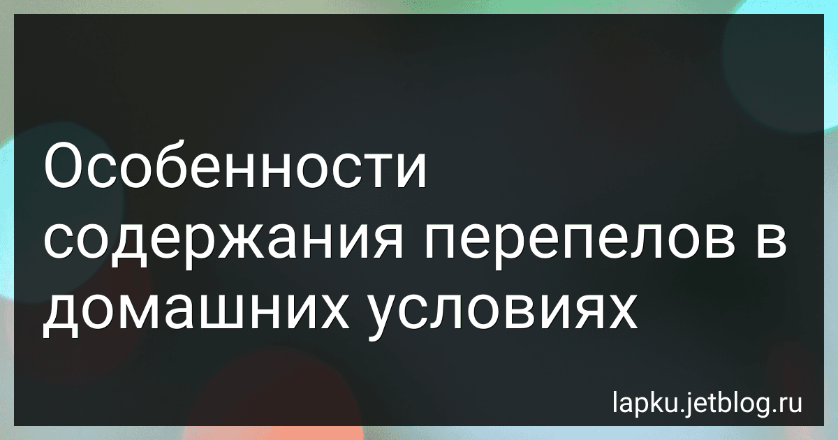 Особенности содержания перепелов в домашних условиях image