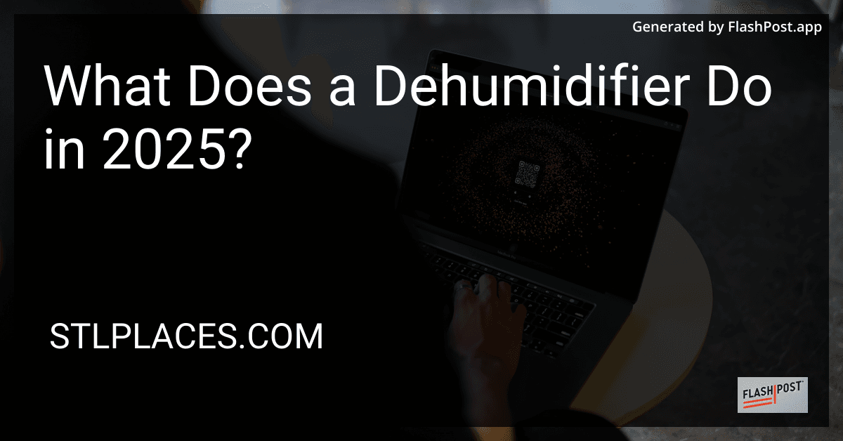 What Does a Dehumidifier Do in 2025? image