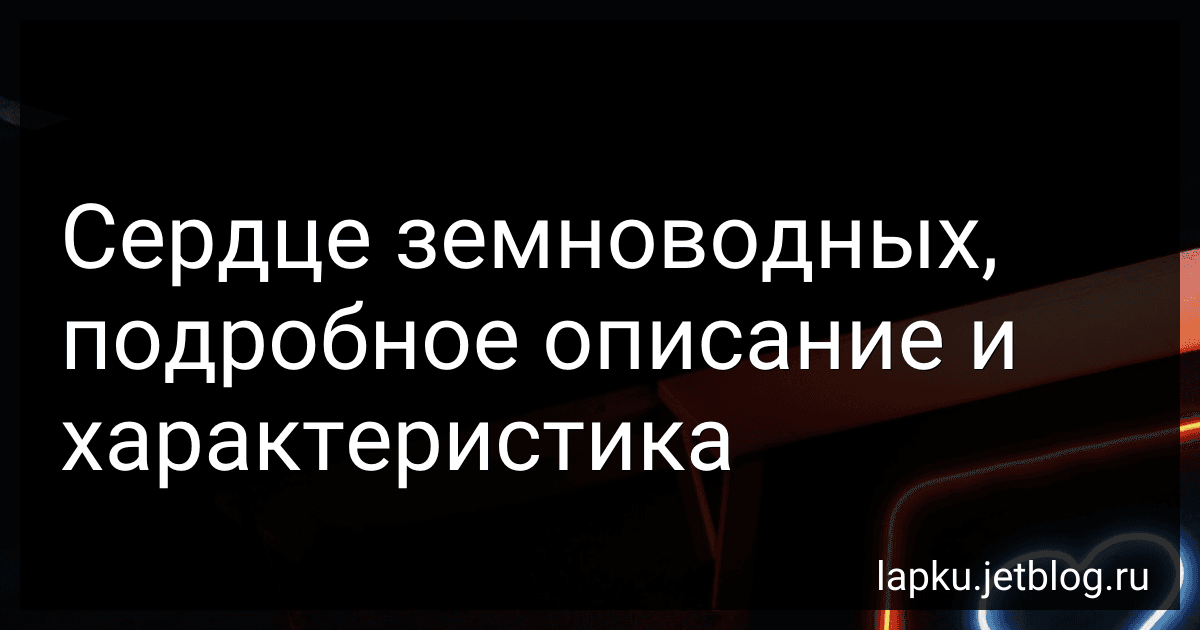 Сердце земноводных, подробное описание и характеристика image