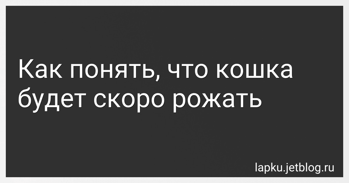 Как понять, что кошка будет скоро рожать image